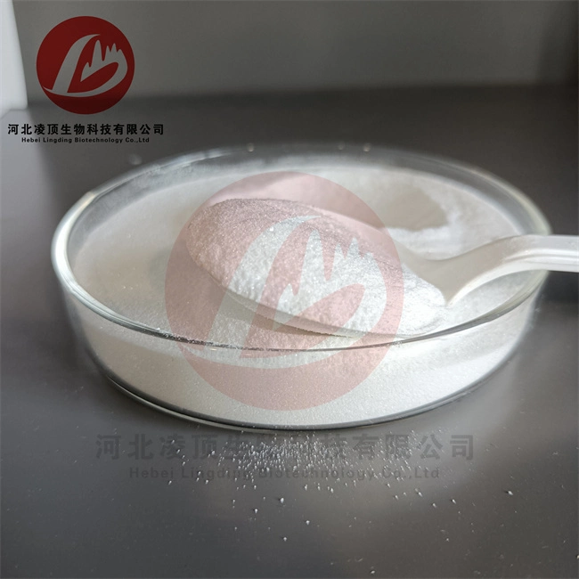 Medicine Anti-Tumor Bendamustine Hydrochloride CAS 3543-75-7