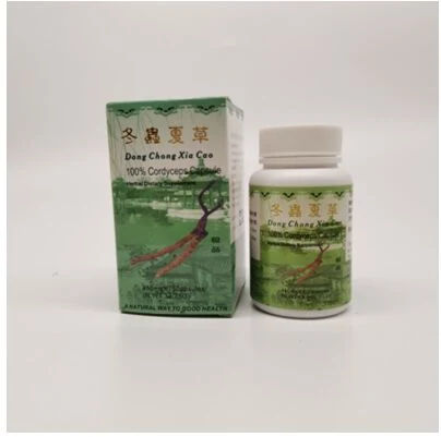 Cordyceps Capsule Enhance Immunity Prevention Kidney Failure OEM Service